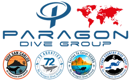 Paragon Dive Group