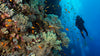Travel - 10/8-15, 2026 - Red Sea, Egypt