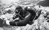 Paragon Dive - Rebreather Action Day