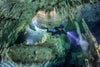 CCDS - Guided Dive: Cavern
