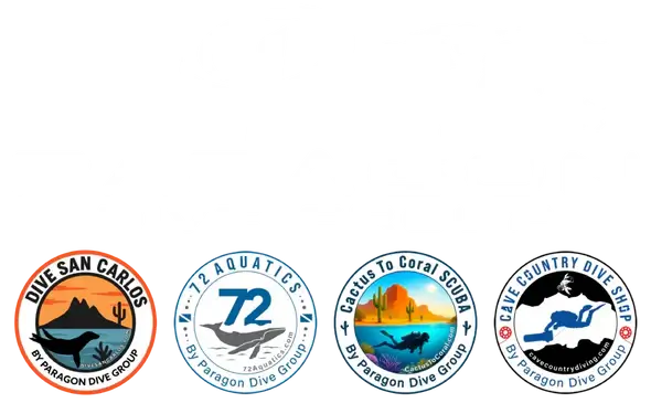 Paragon Dive Group