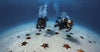 RENTAL - CCDS - Full Open Water gear package