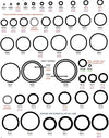 Paragon Dive - Viton O-Rings